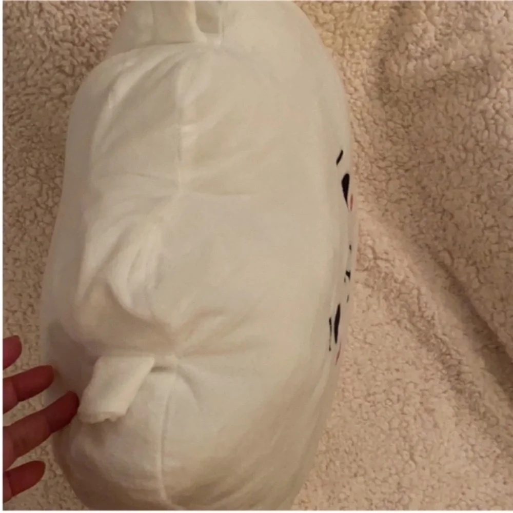 BT21 RJ Pillow